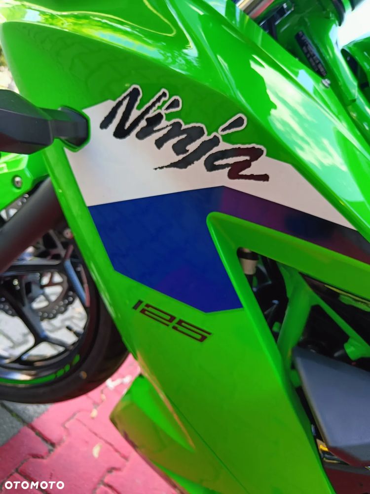Kawasaki Ninja - 20