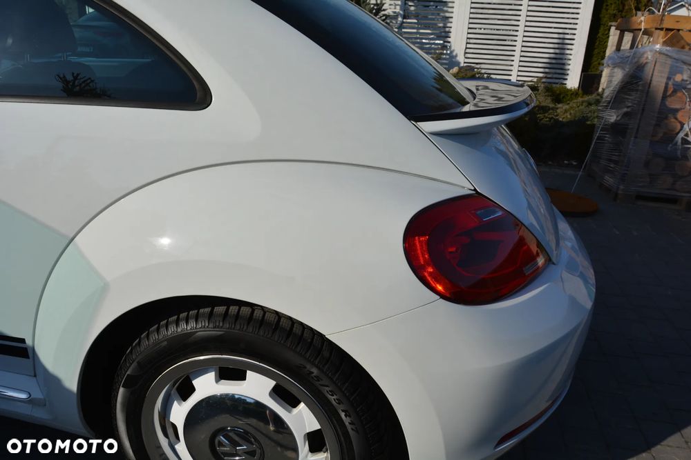 Volkswagen Beetle - 16