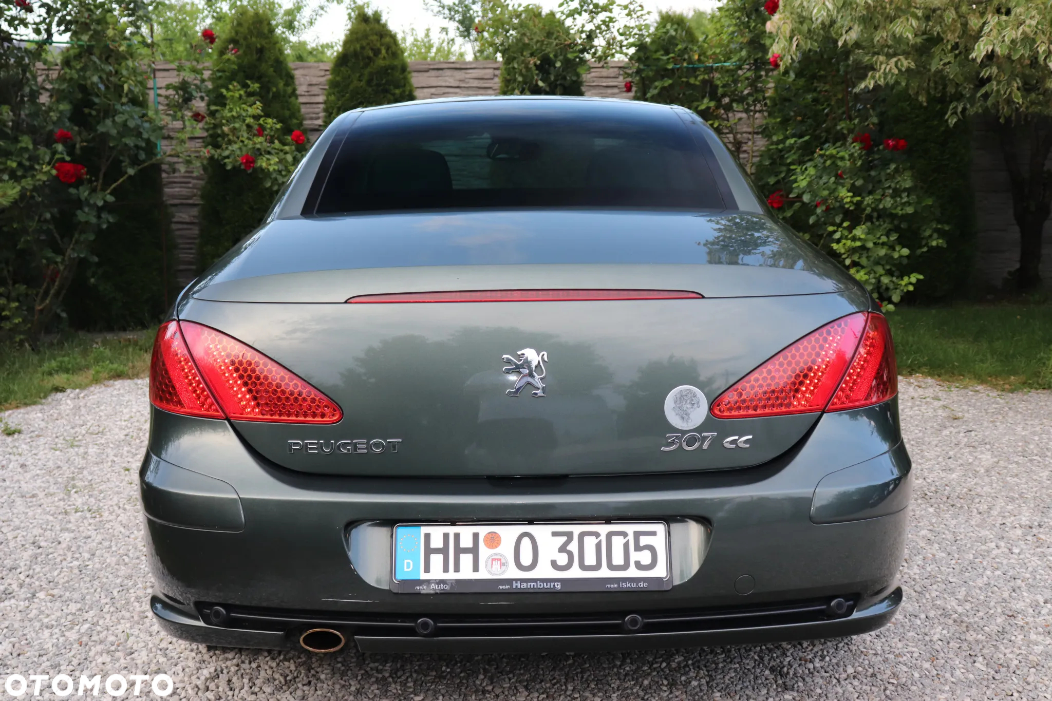 Peugeot 307 CC - 13