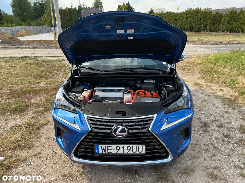 Lexus NX - 36