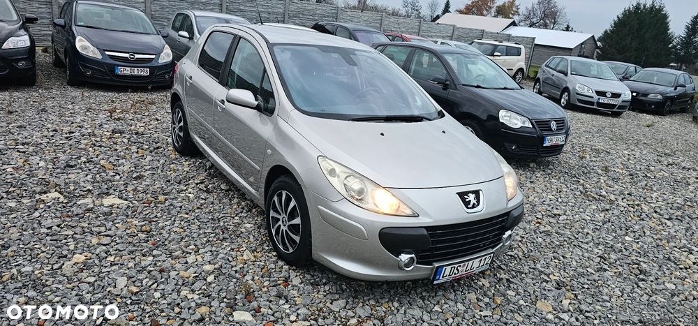 Peugeot 307 Break 110 Premium - 12