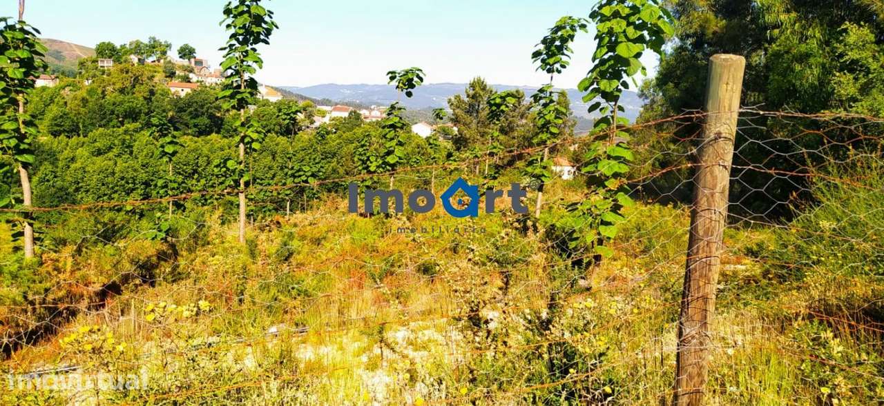 Terreno com nascente de Água! - Grande imagem: 4/21