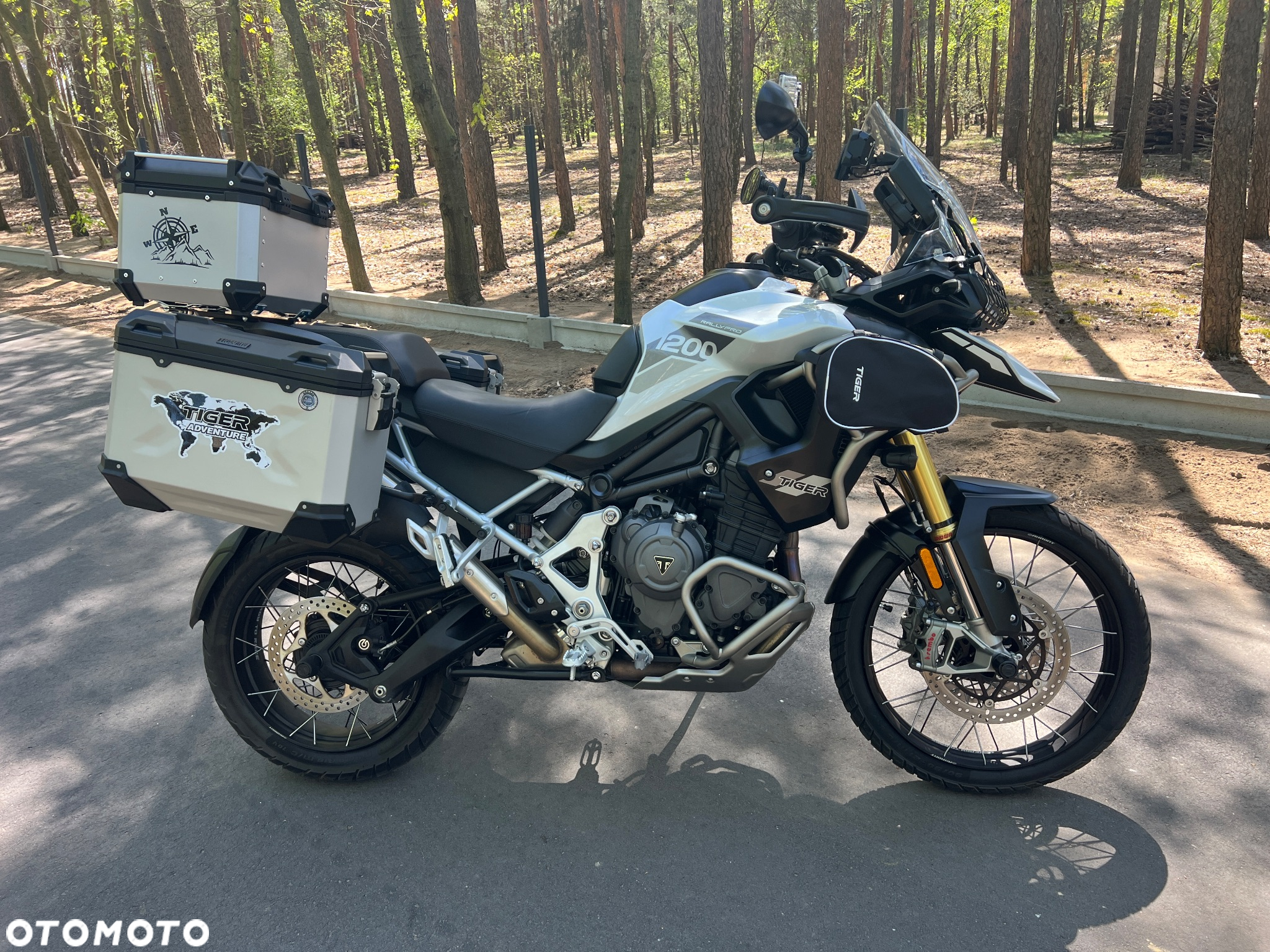 Triumph Tiger - 8