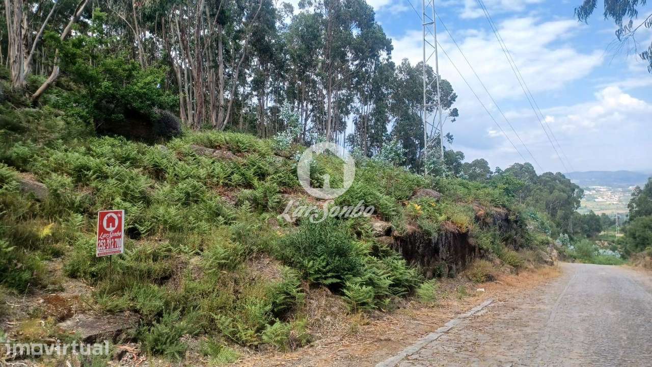 Bouça com 1500m2 em Oliveira Santa Maria - Grande imagem: 3/4