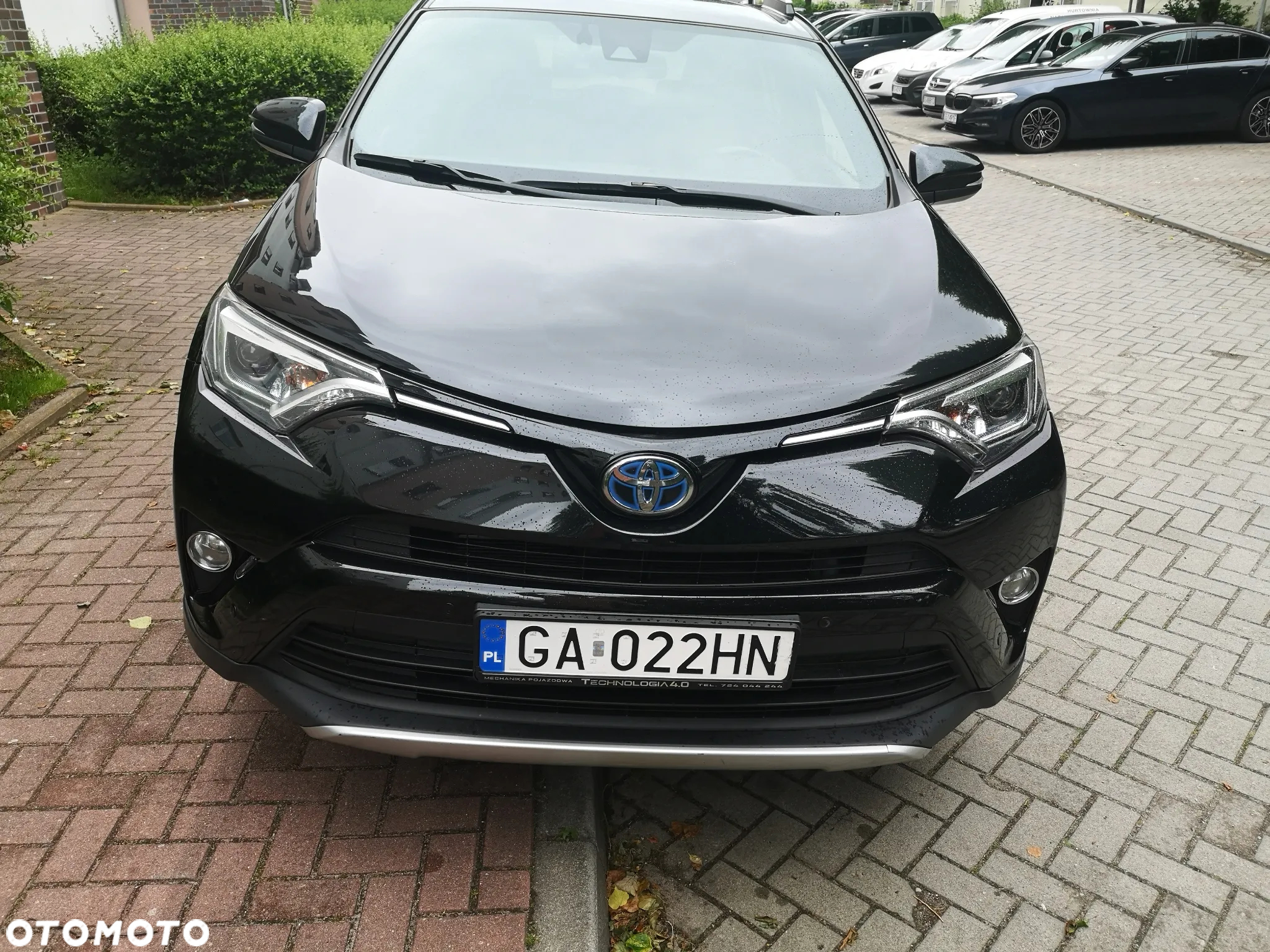 Toyota RAV4 Hybrid Platinum 4x2 - 11