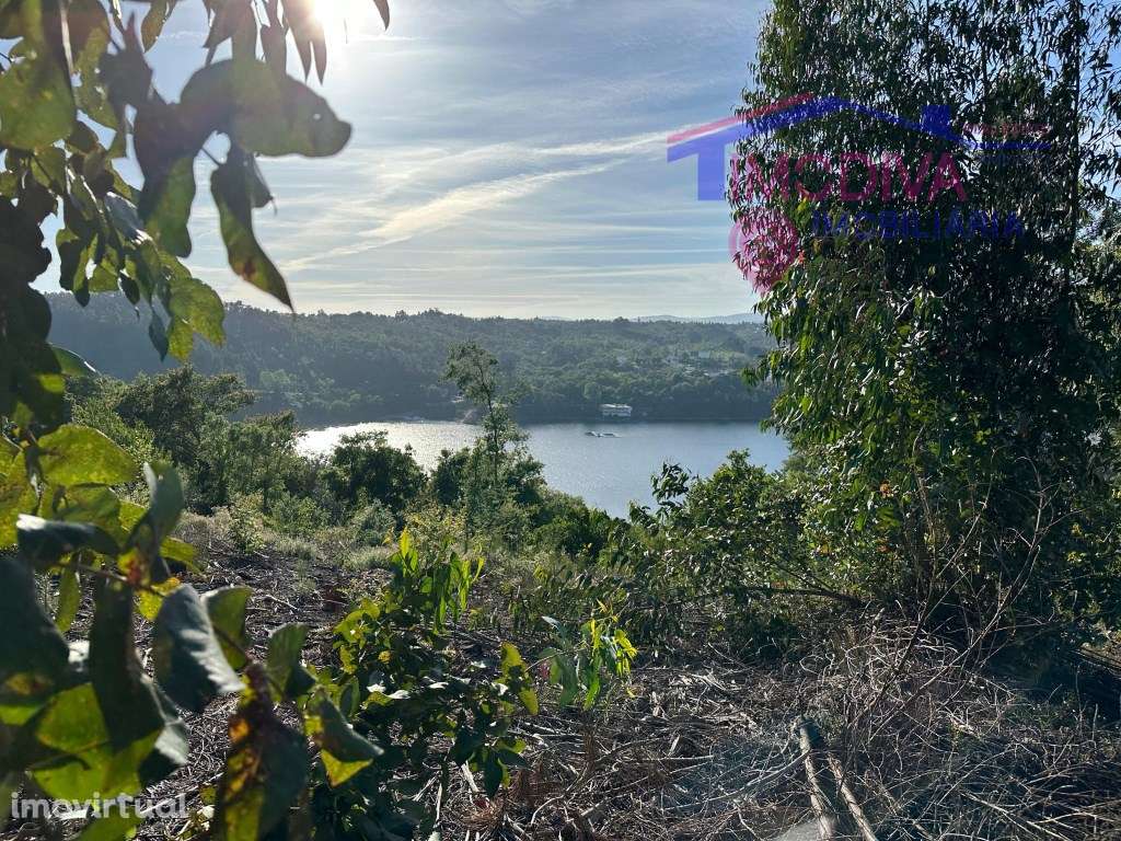 Terreno com 13890m2 e ruina com vista para a Barragem do Cabril - Grande imagem: 5/60