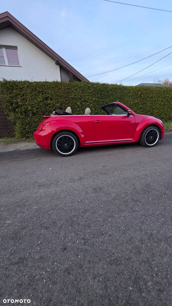 Volkswagen Beetle - 6