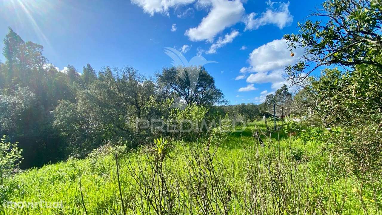 Casa antiga em Rio Maior - Grande imagem: 5/8