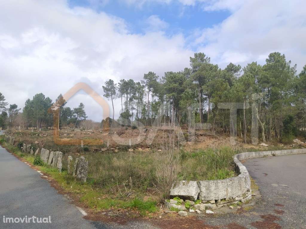 Terreno com 3830m2, possibilidade de dividir para construção de 2 m... - Grande imagem: 2/10