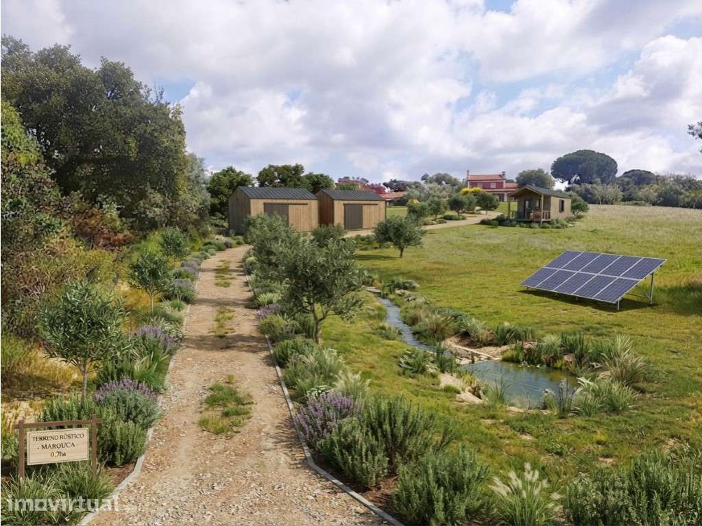 Terreno Rústico com 7.000 m² em Marouca, Montargil - Grande imagem: 4/17