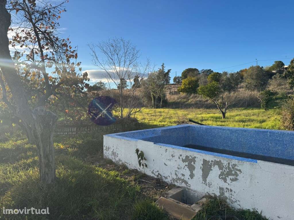 Monte Alentejano de 4 Hectares na região de Cabeção / Mora - Privac... - Grande imagem: 3/30