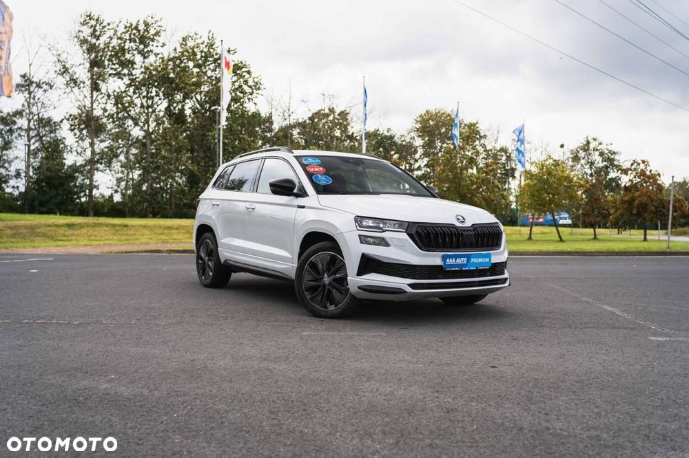 Skoda Karoq - 2