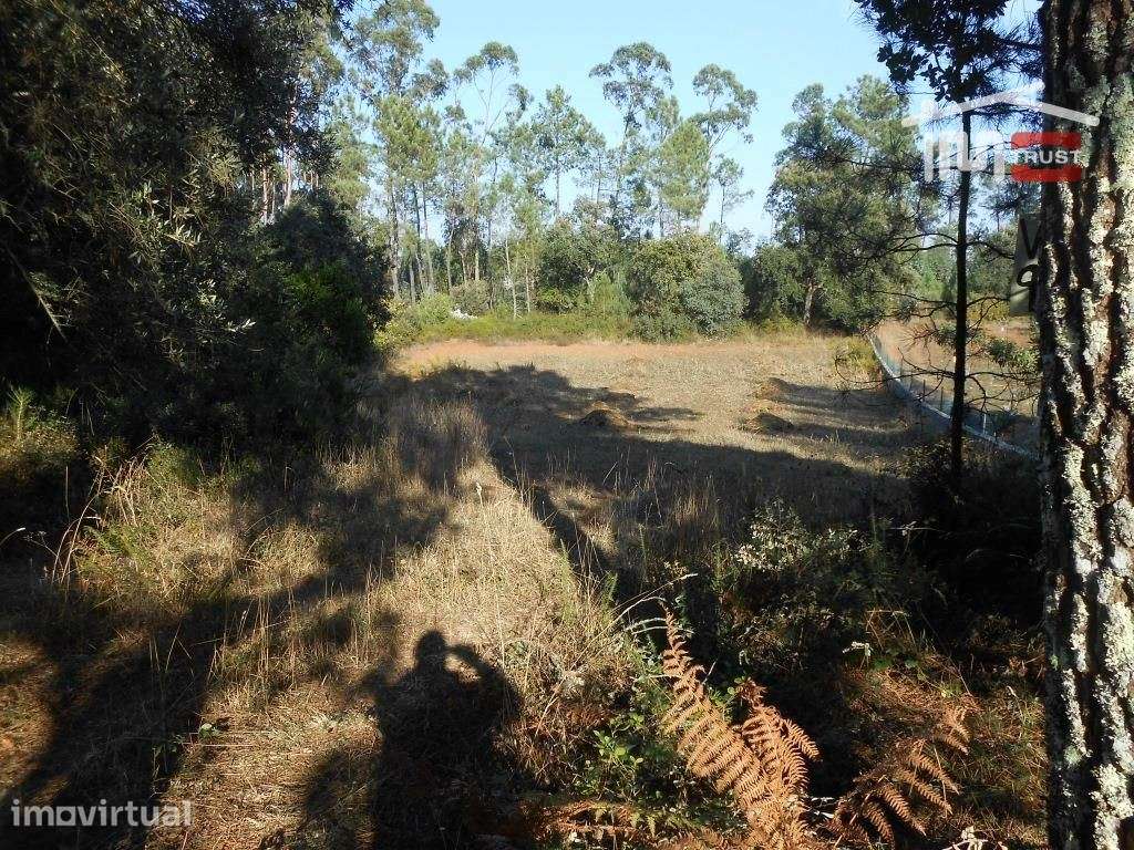 TERRENO RUSTICO COM AREA DE 1950 M2 FRAGOSAS FÁTIMA - Grande imagem: 3/9