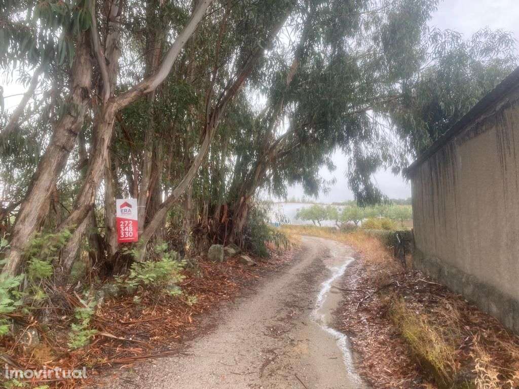 Quintinha - Grande imagem: 2/10