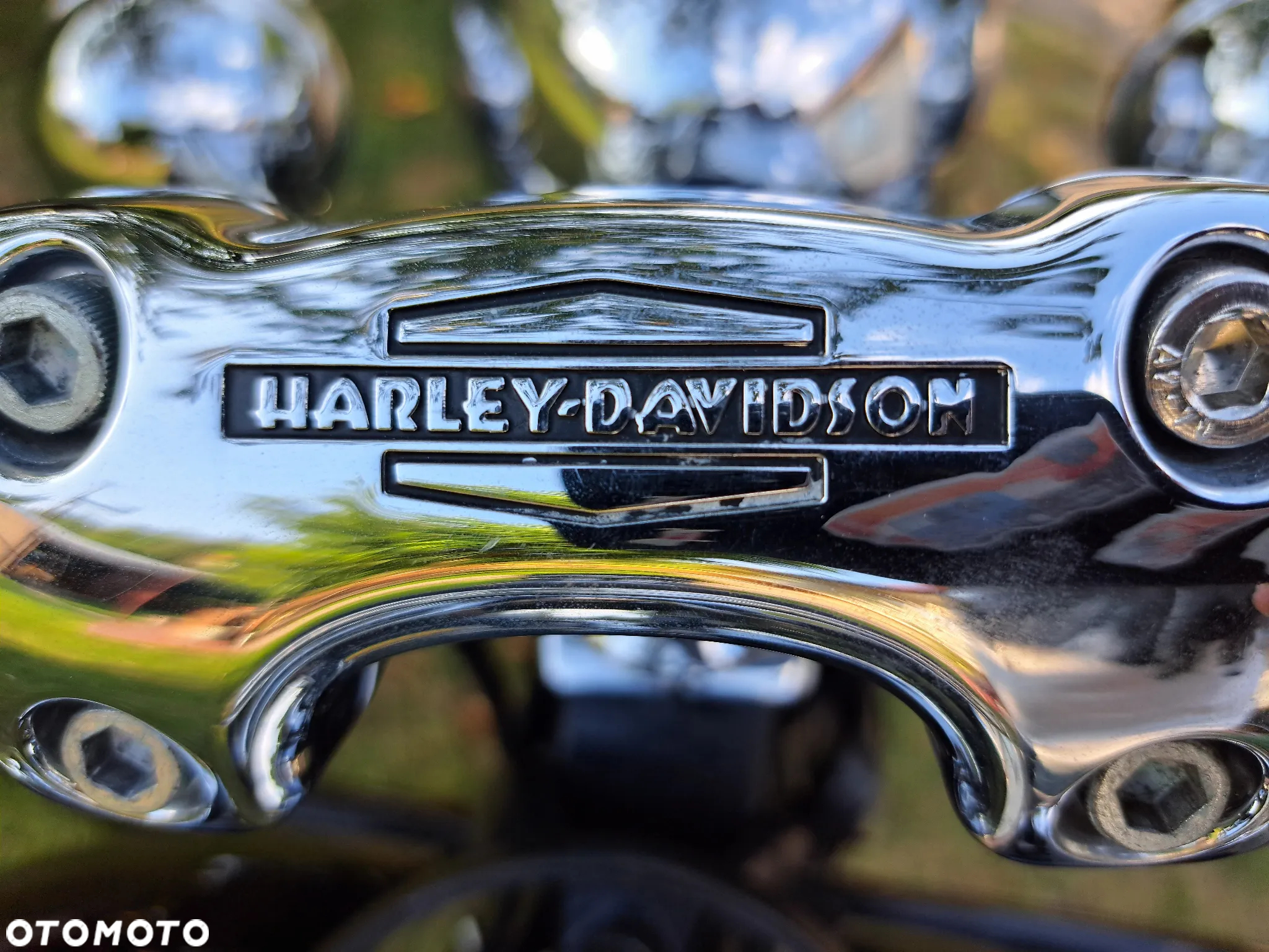 Harley-Davidson Softail Deluxe - 7
