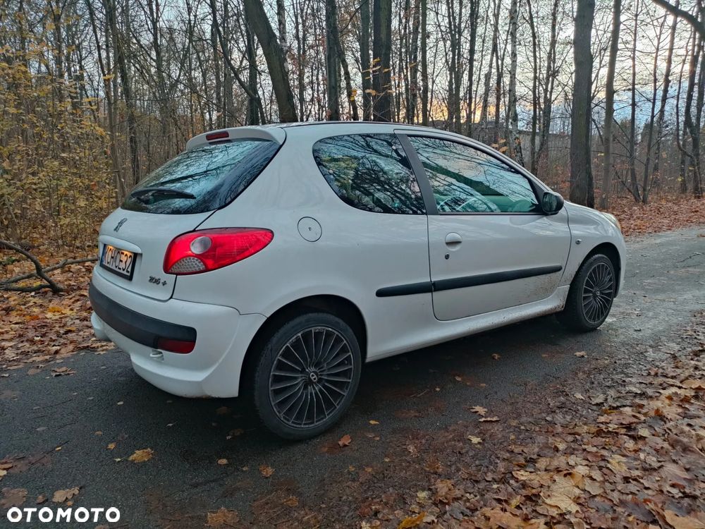 Peugeot 206 plus - 6