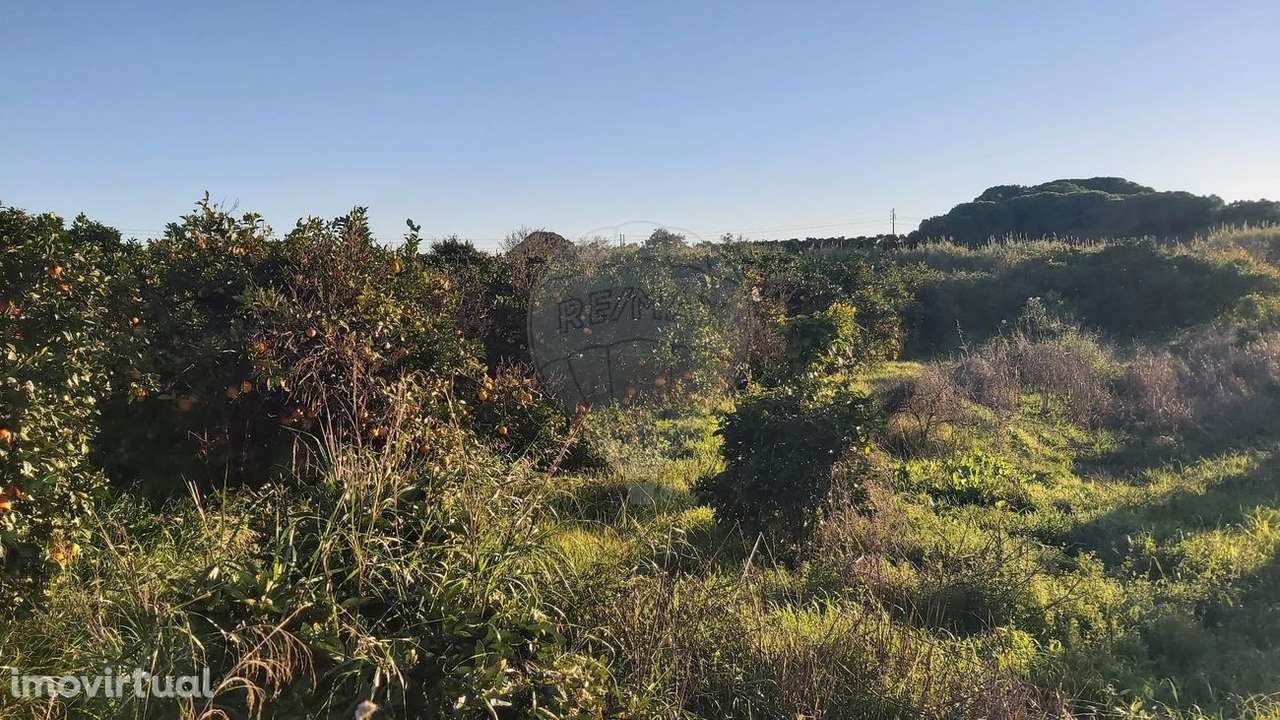 Terreno  para venda - Grande imagem: 4/7