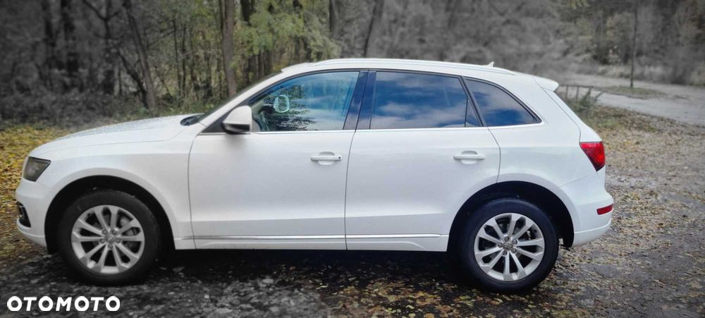 Audi Q5 2013 photo 4