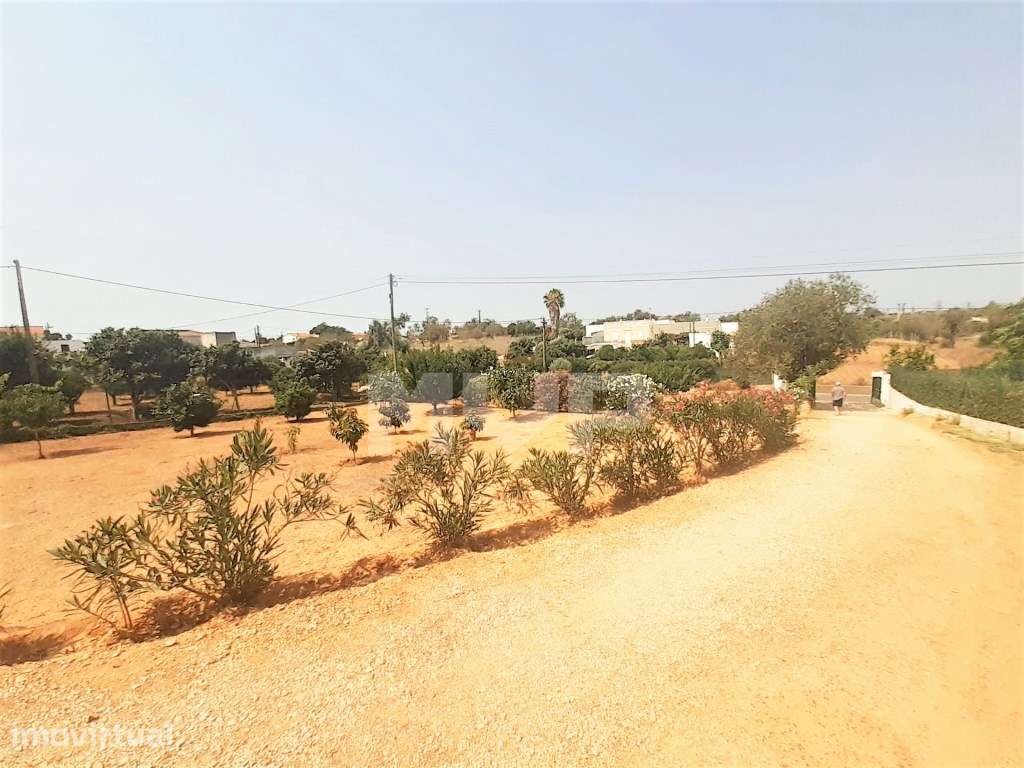 Terreno rústico em Quelfes - Grande imagem: 5/21