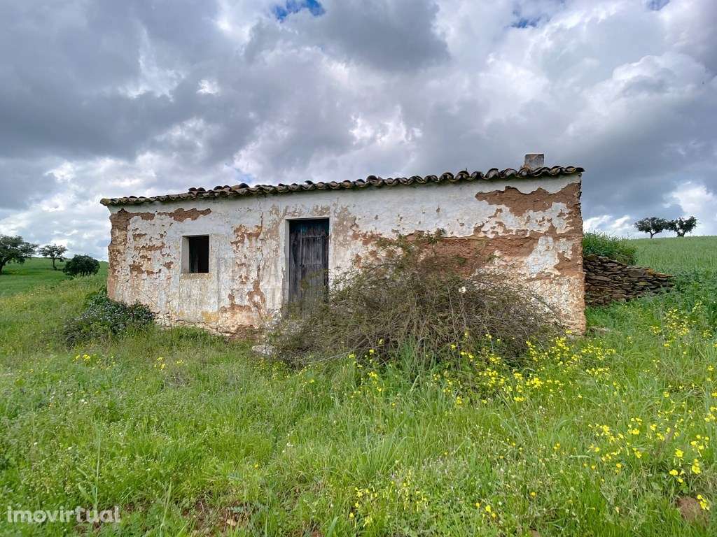 Quinta no Alentejo com duas habitações - Grande imagem: 2/60