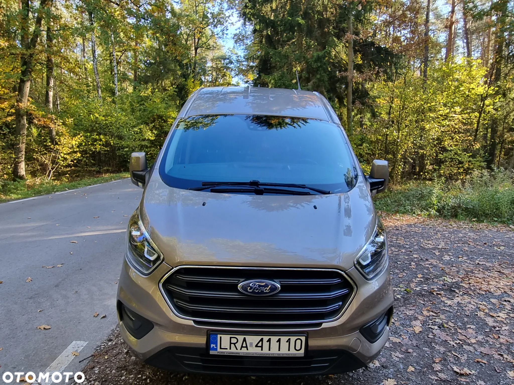 Ford Custom - 2
