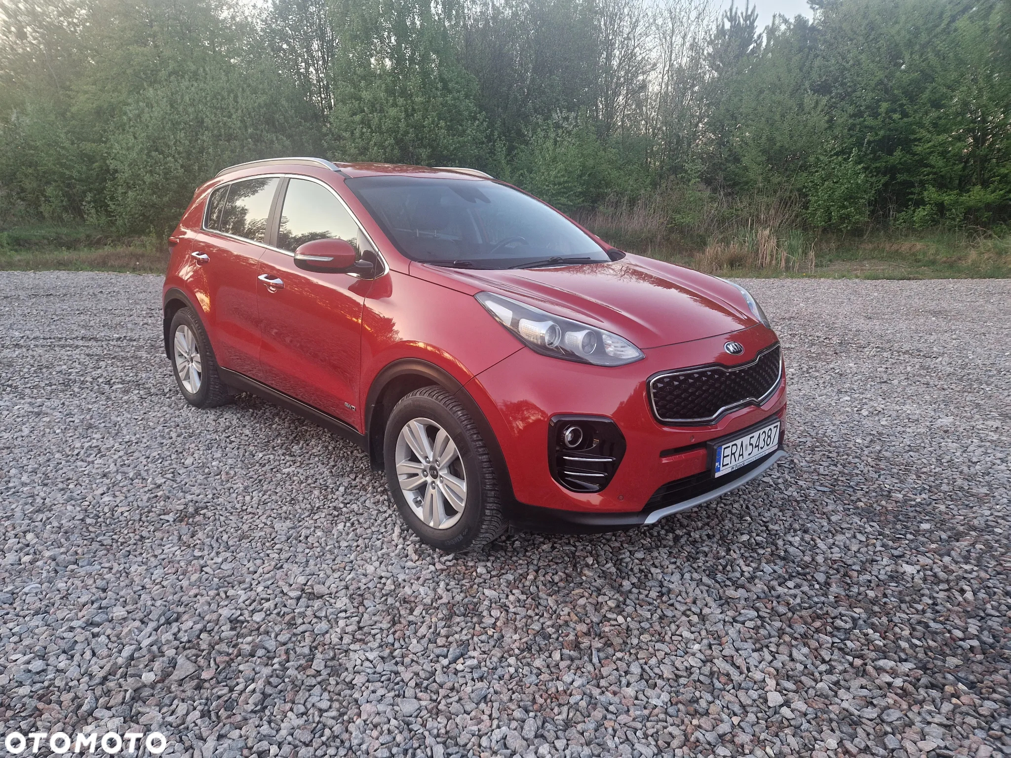 Kia Sportage 1.6 T-GDI L Business Line Plus 4WD DCT - 7