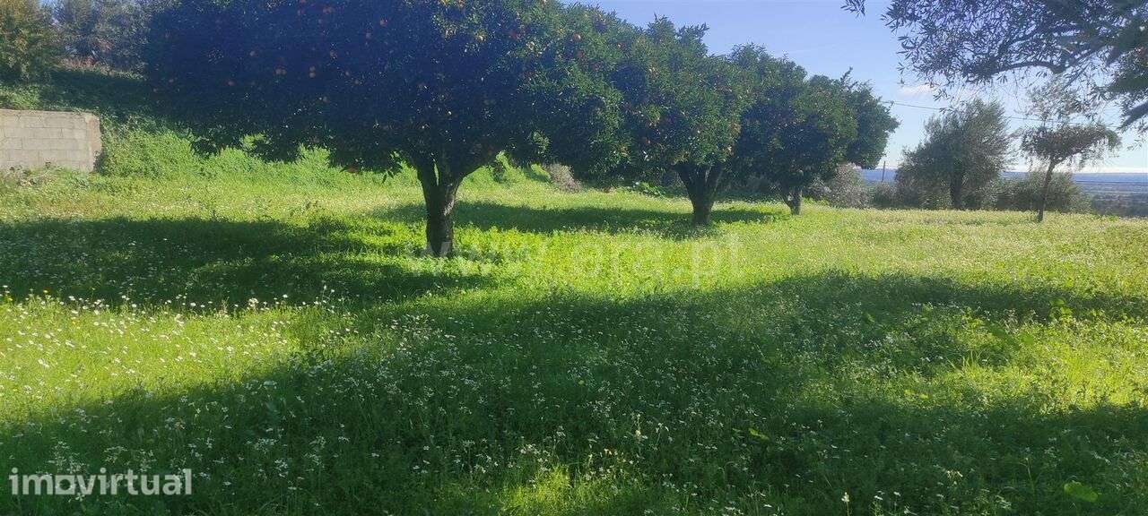 Terreno / Fundão, Cortiçada - Grande imagem: 2/2