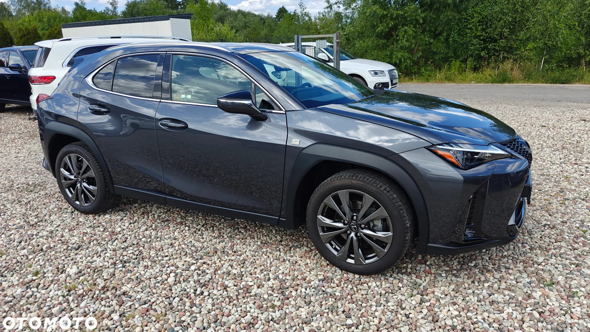 Lexus UX 250h GPF F Sport 2WD - 8