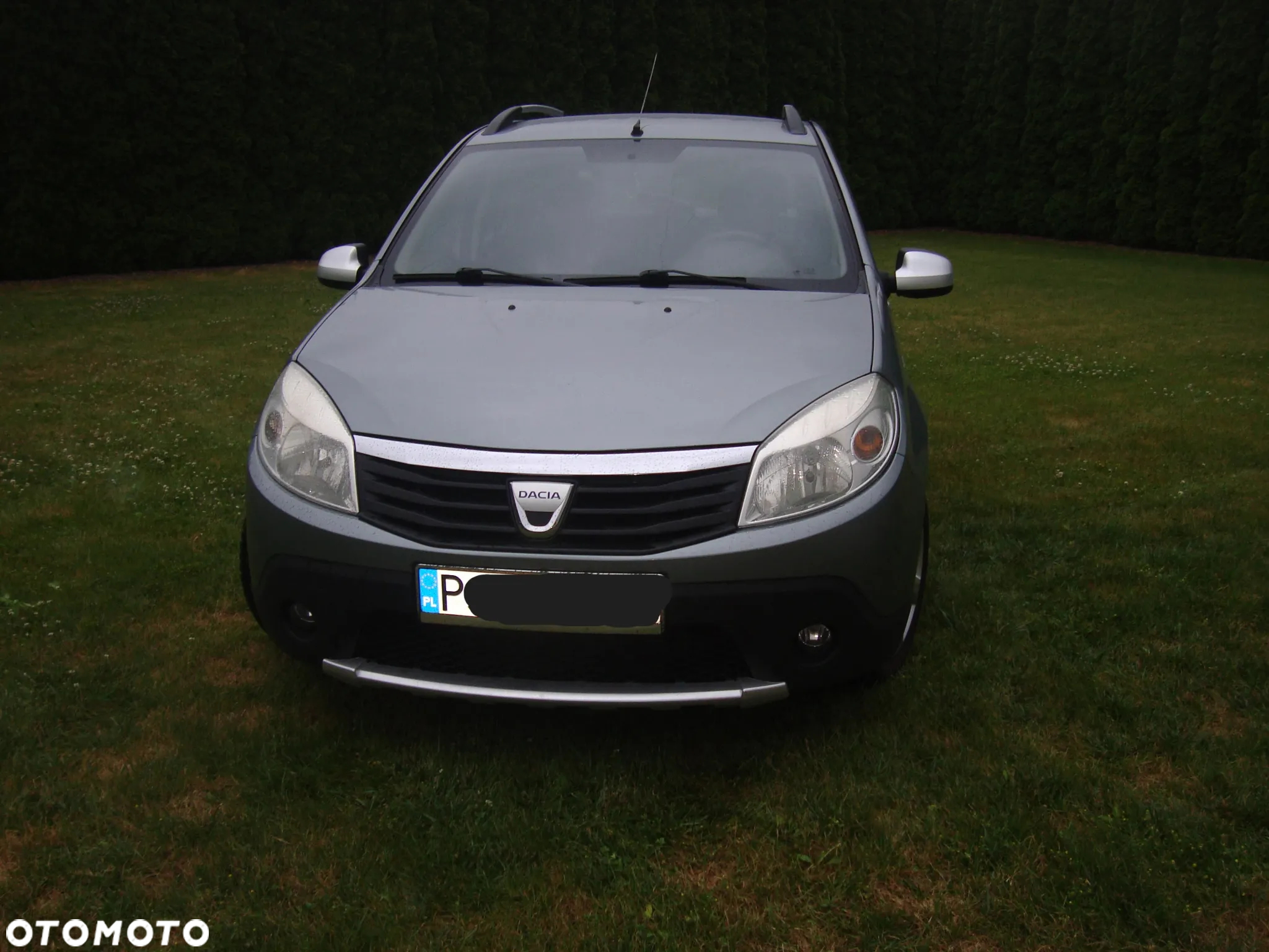 Dacia Sandero Stepway 1.6 - 13