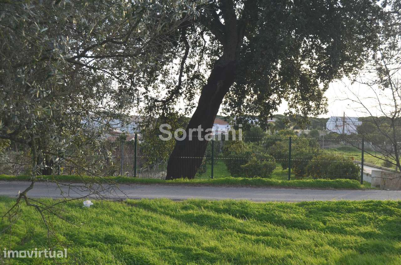 Terreno Rústico  Venda em Albufeira e Olhos de Água,Albufeira - Grande imagem: 4/4