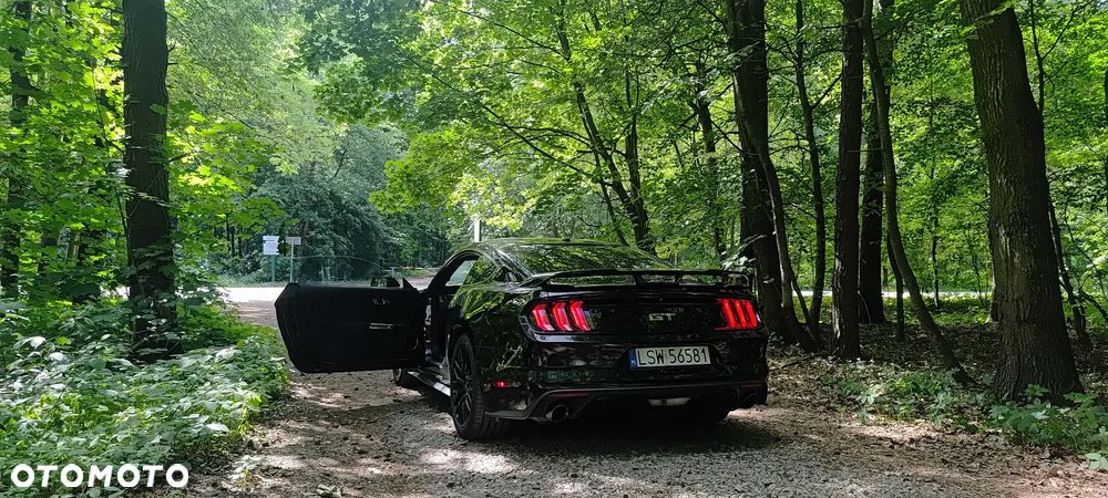 Ford Mustang - 19