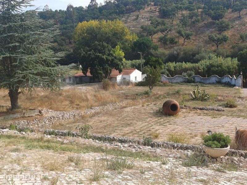 Moradia de grande dimensão com amplo terreno - T8 - Bemposta, Abrantes - Grande imagem: 3/3
