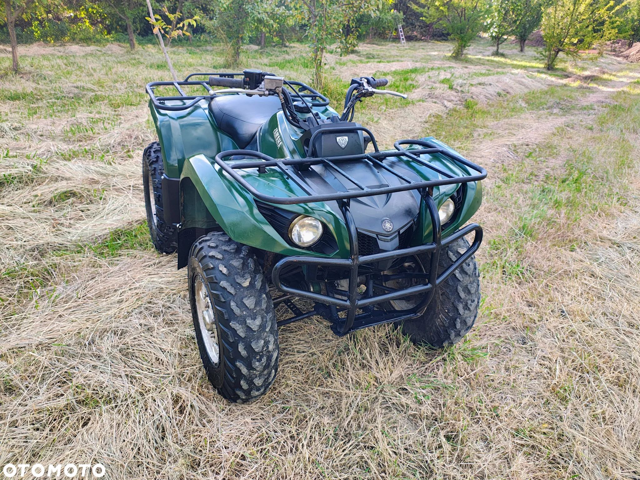 Yamaha Grizzly