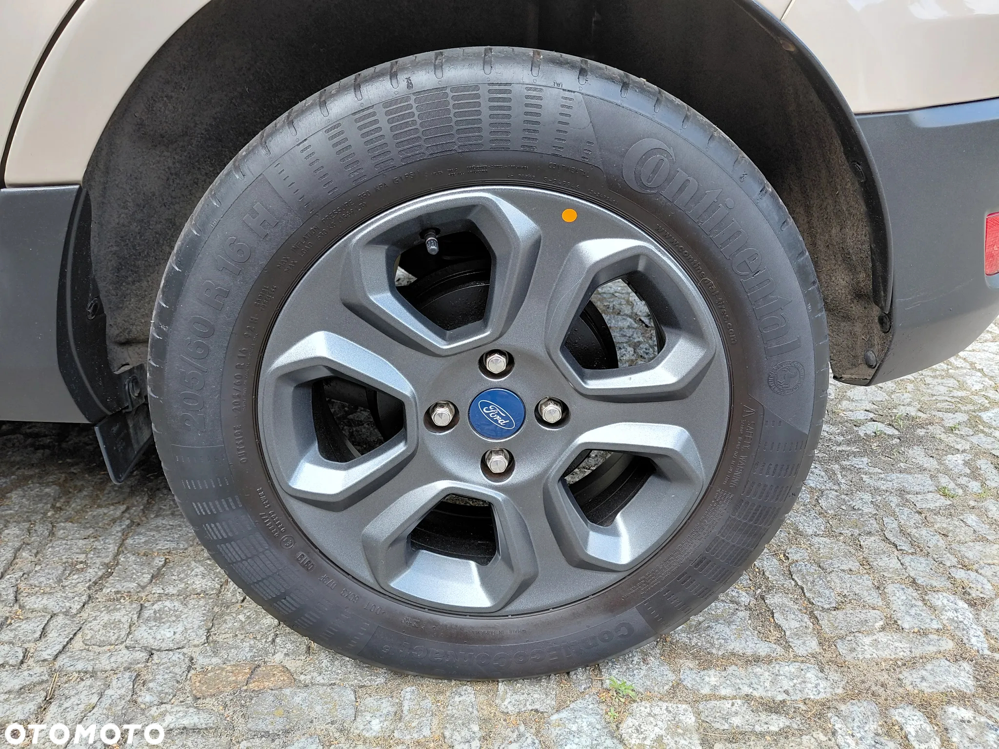 Ford EcoSport 1.0 EcoBoost GPF Titanium ASS - 36