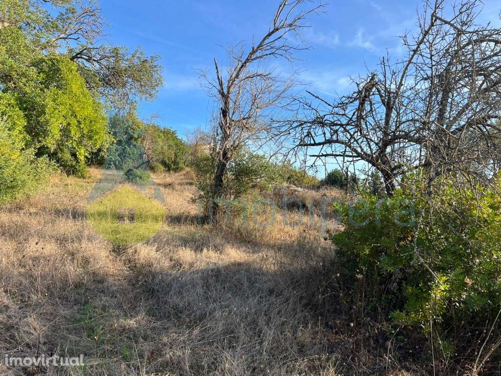 TERRENO RÚSTICO EM ZONA PREVILIGIADA ELECTRICIDADE E VISTA DESLUMBR... - Grande imagem: 5/10