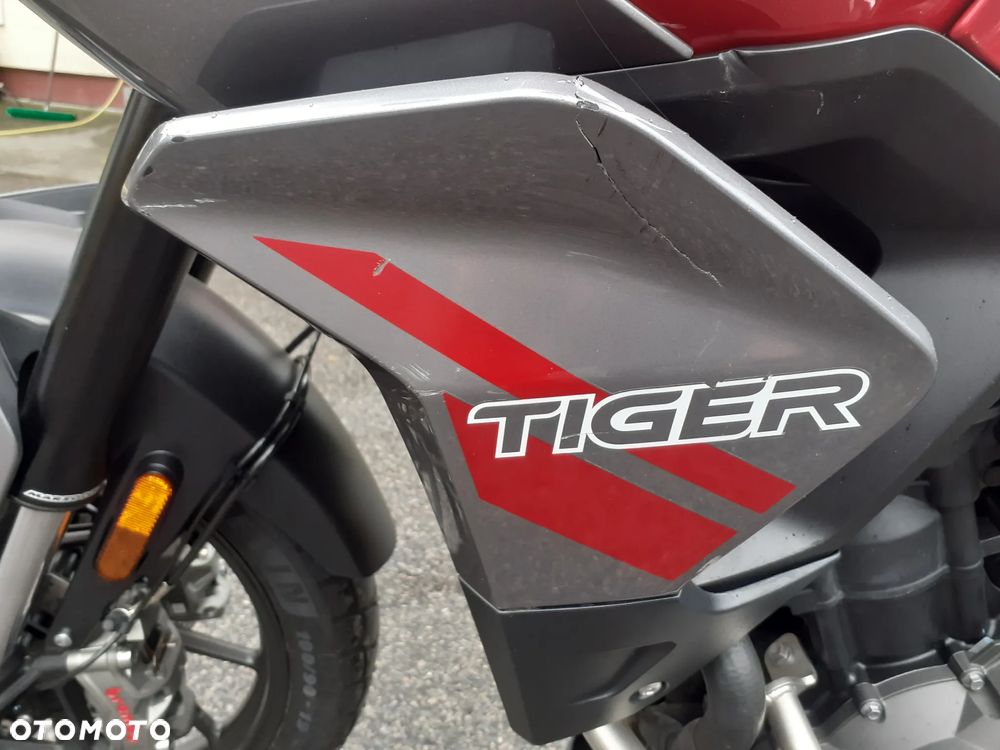 Triumph Tiger - 14