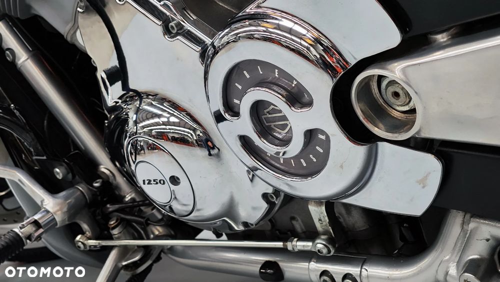 Harley-Davidson Softail V-Rod - 15