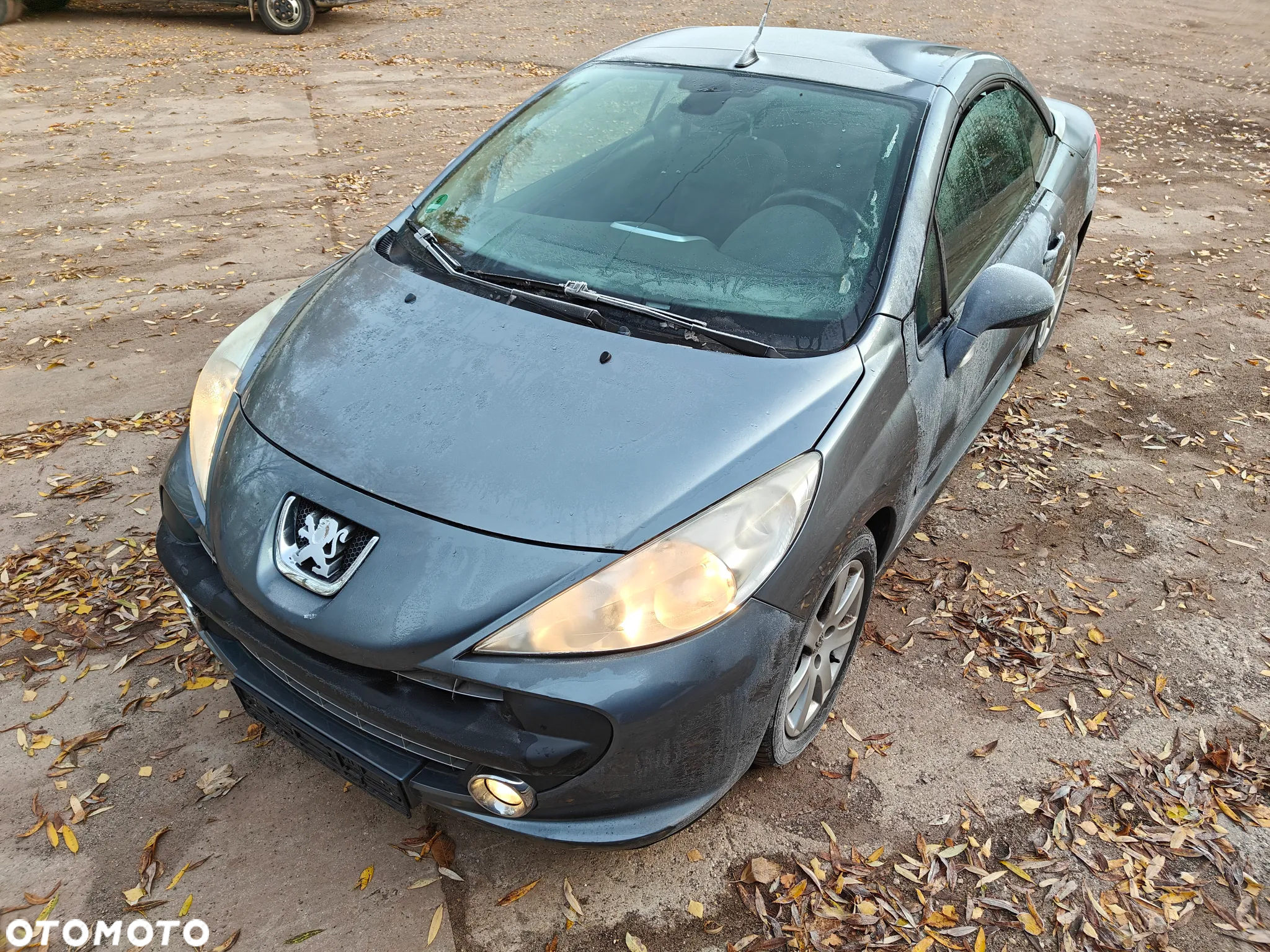 Peugeot 207 120 Premium - 19