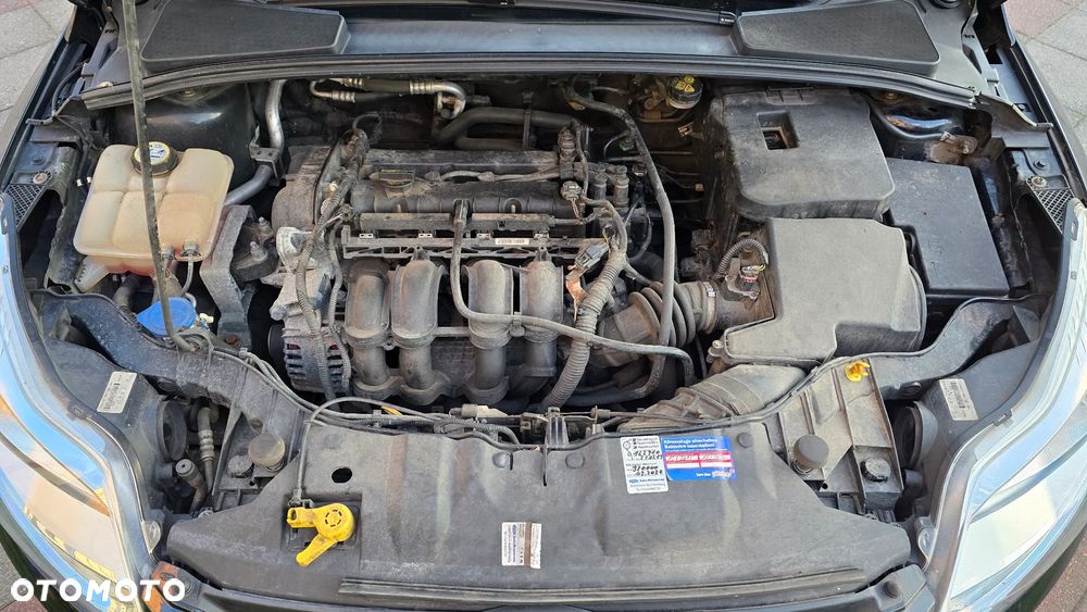 Ford Focus - 25