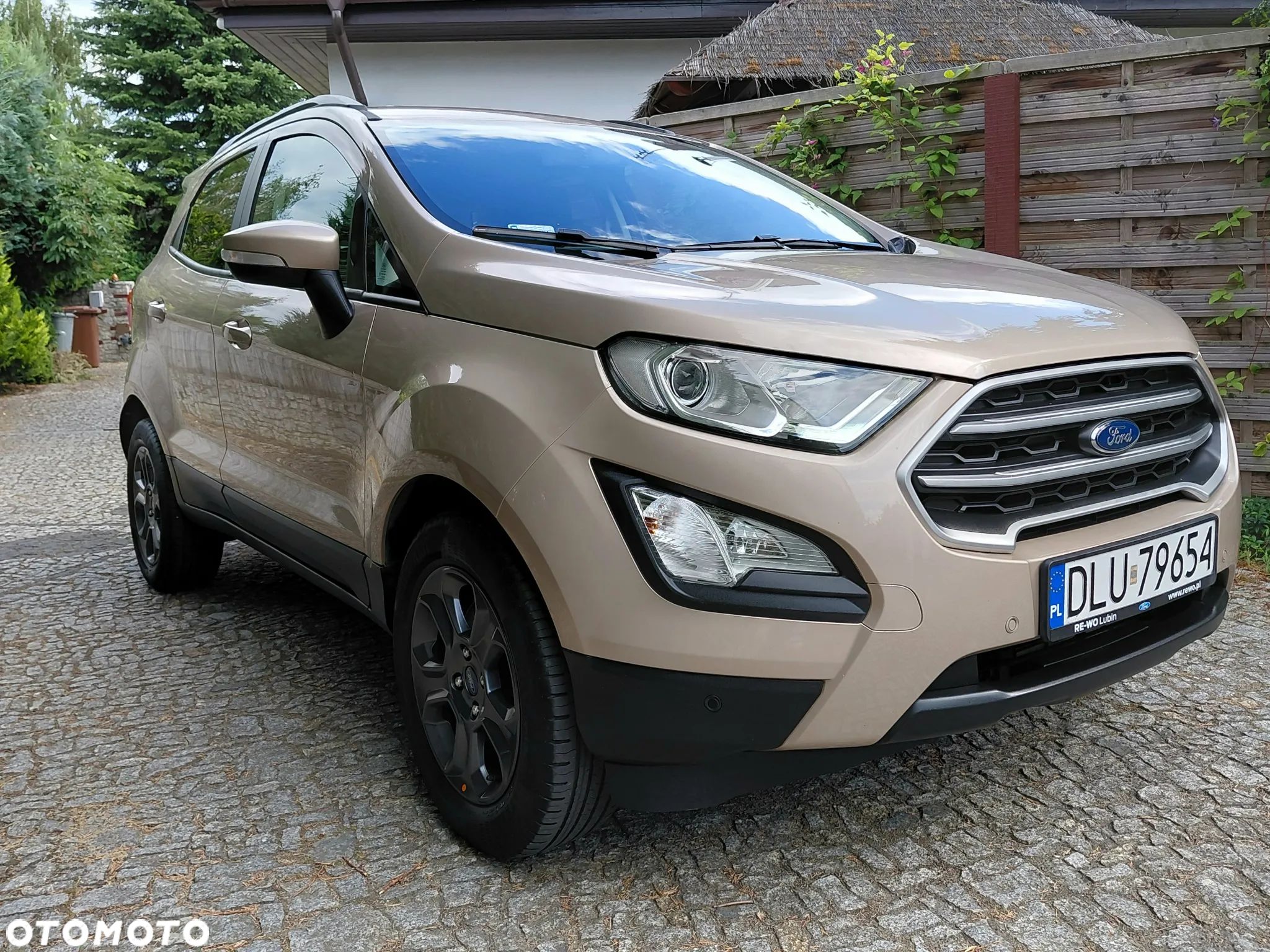 Ford EcoSport 1.0 EcoBoost GPF Titanium ASS - 1