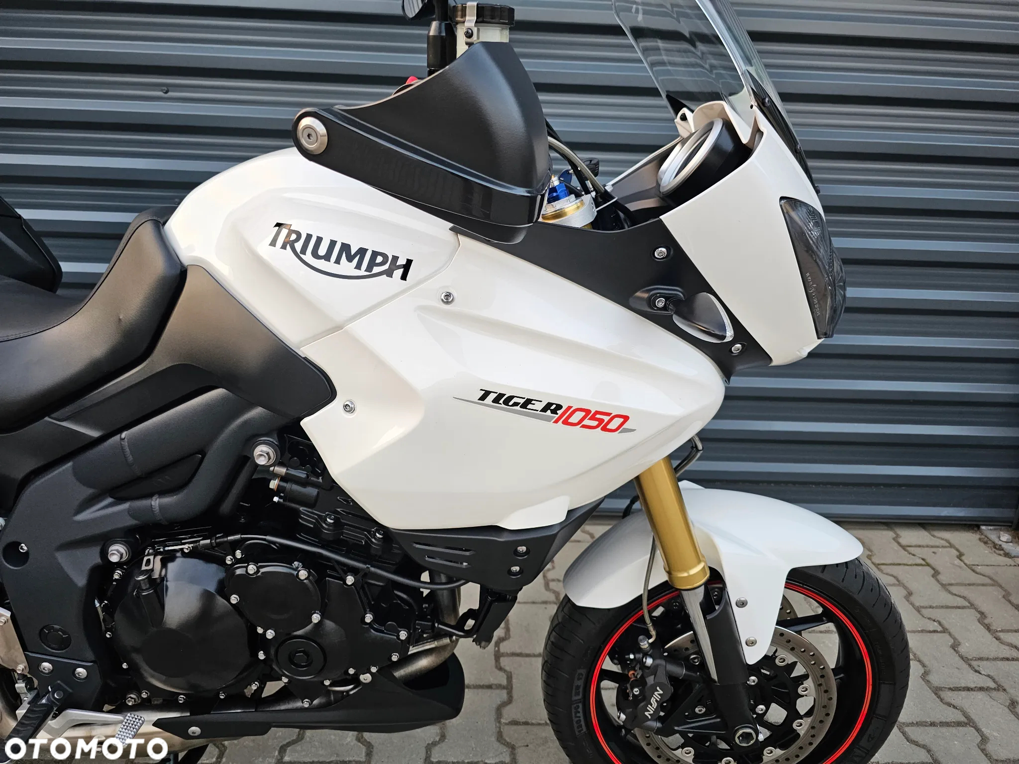 Triumph Tiger - 11