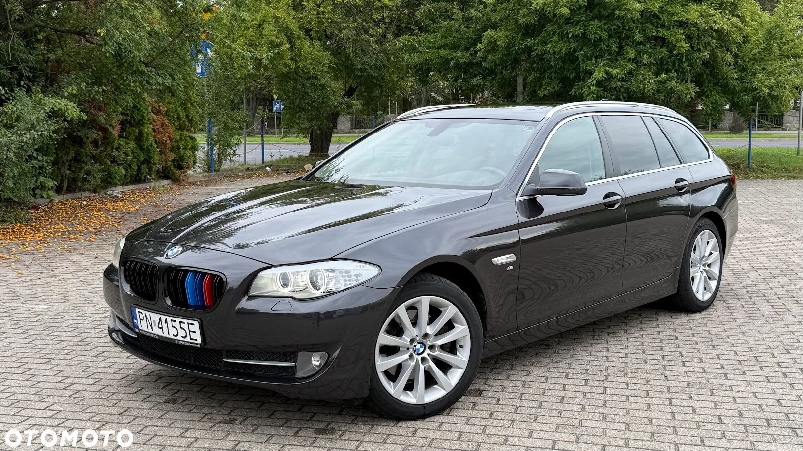 BMW Seria 5 520d BluePerformance - 1