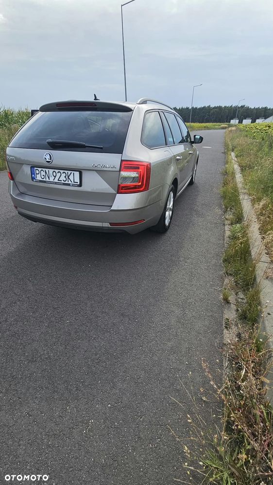 Skoda Octavia - 5