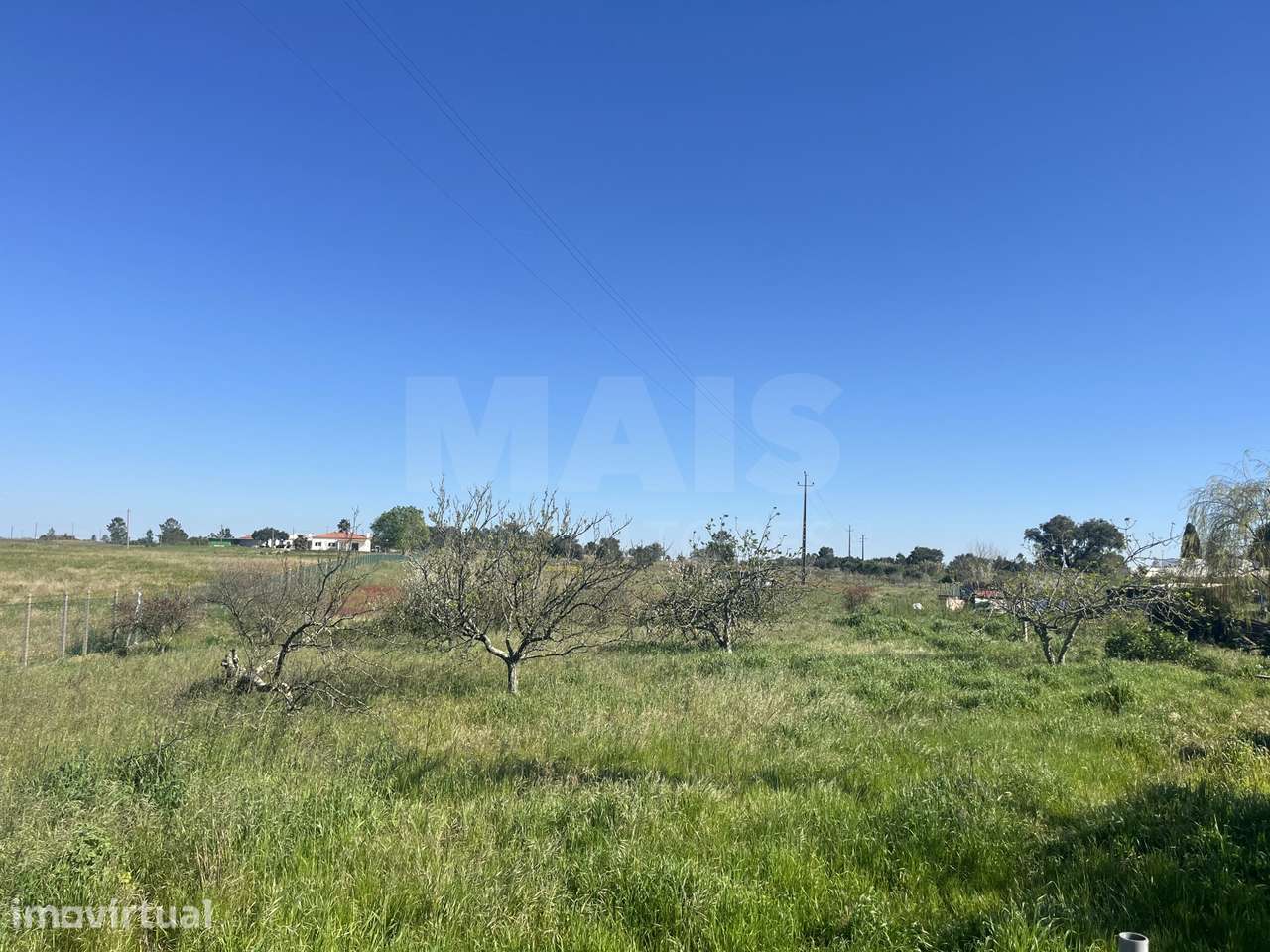 Terreno 12000 m2 em Foros da Charneca - Grande imagem: 2/9