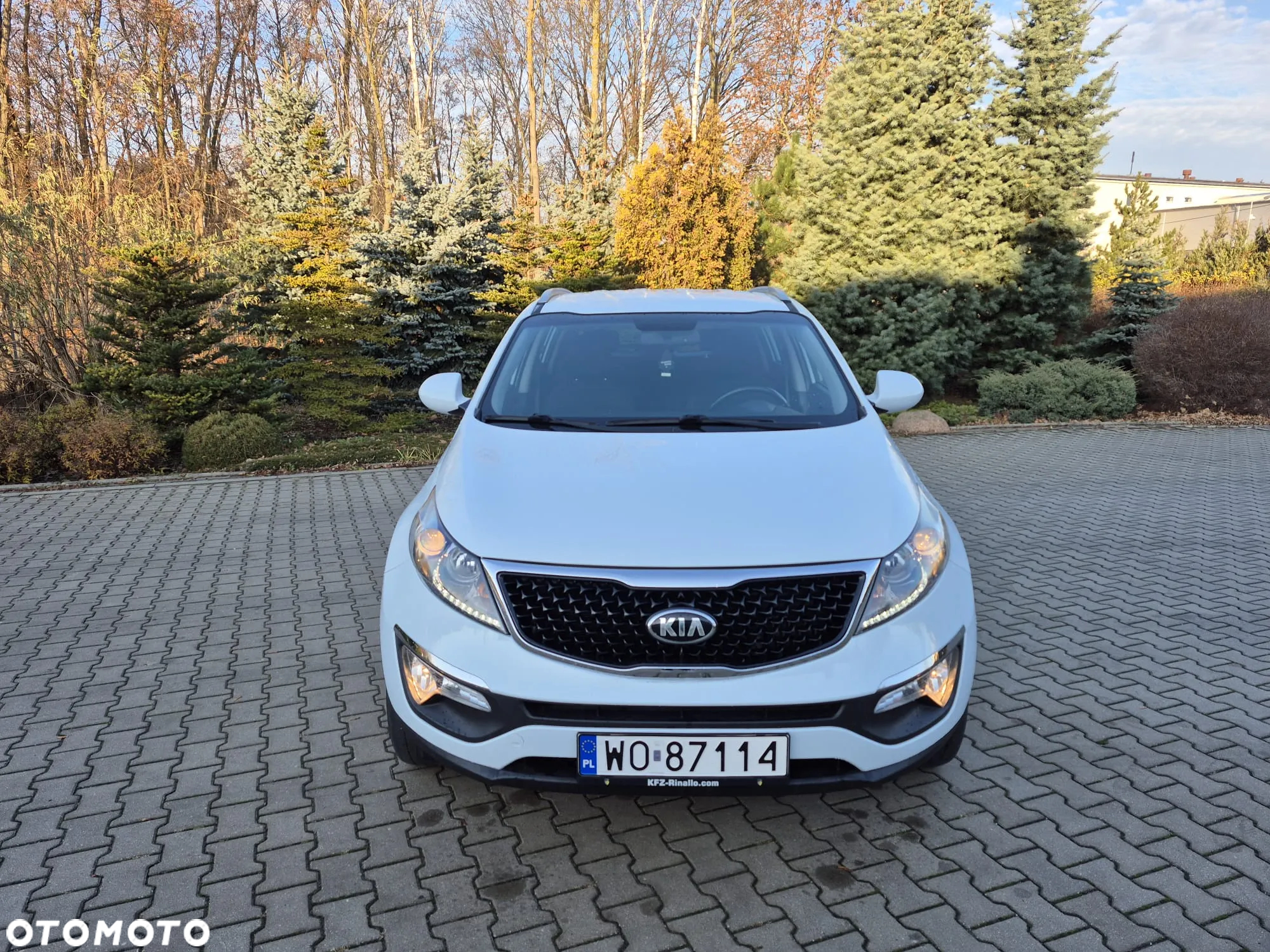 Kia Sportage 1.7 CRDI Business Line L 2WD - 8