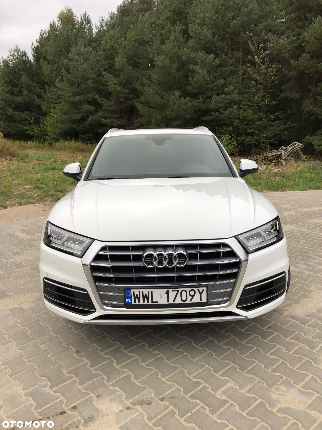 Audi Q5 2.0 TFSI Quattro Design S tronic - 31