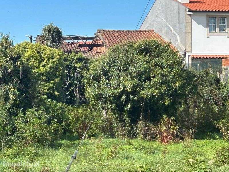 Terreno de 730m² com Ruína para Reconstrução – Excelente Oportunidade - Grande imagem: 5/8