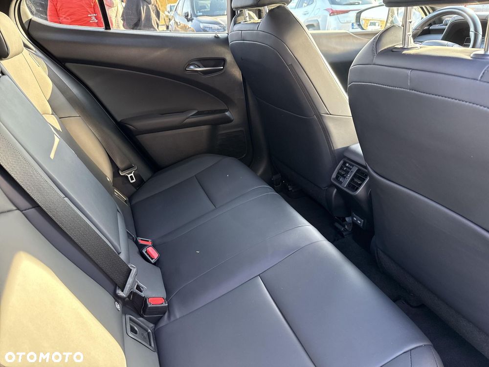 Lexus UX 250h GPF F Sport Design 2WD - 10