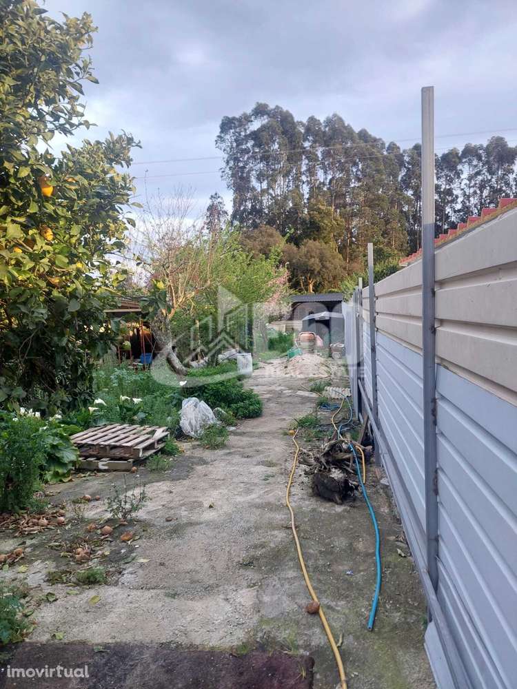 Moradia T2 Térrea Totalmente Restaurada - Grande imagem: 5/26