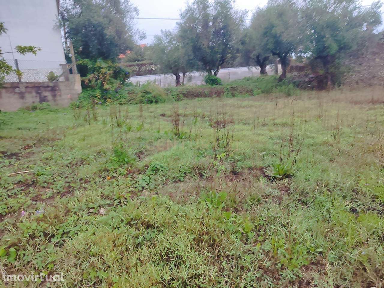 Moradia em ruínas em terreno misto, urbano e rústico, em Vendas do Rij - Grande imagem: 3/15